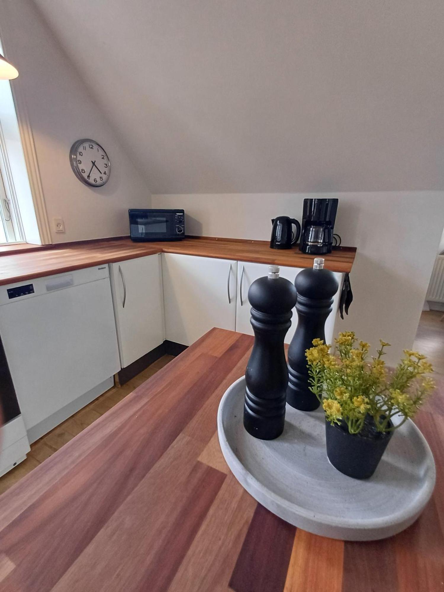 Grand Luxury Apartment In The Center Of Hoerring Hjorring Luaran gambar